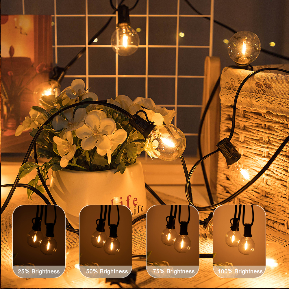 G40 LED Outdoor String Ball Li - Outdoor Lighting Driveway 评论和价格